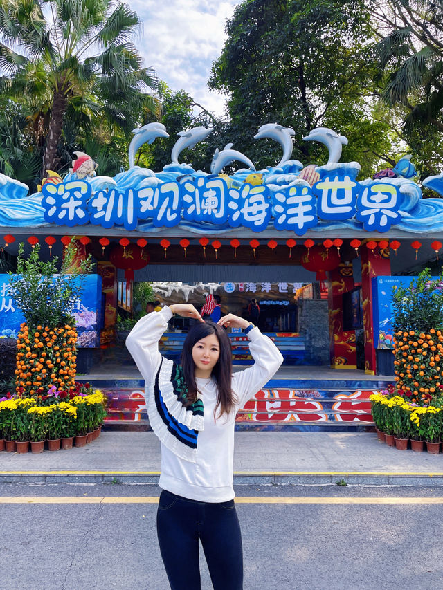春節去哪兒？一站式體驗海洋世界的快樂