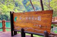 你喜歡根雕嗎？喜歡來開化