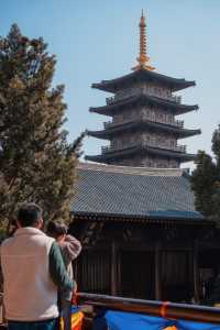 反向旅行,魔都春節也沒有人的寶山親子遊