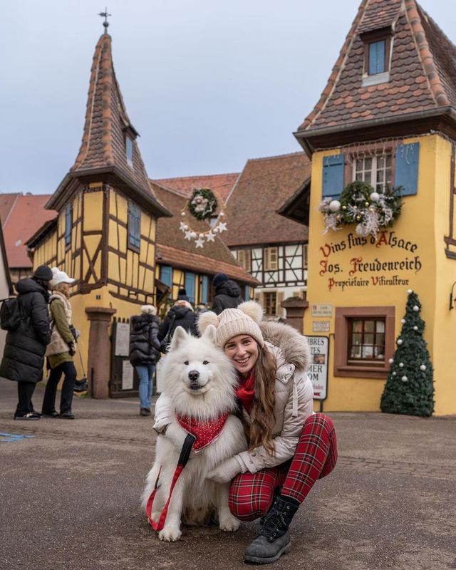 Best of Alsace during Christmas 🎅🎄 Which photo is your fave? ❤️
