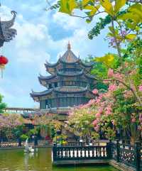 廣州驚現白花風鈴木～真的比洲頭咀還要美！！！