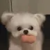 _TI***0m