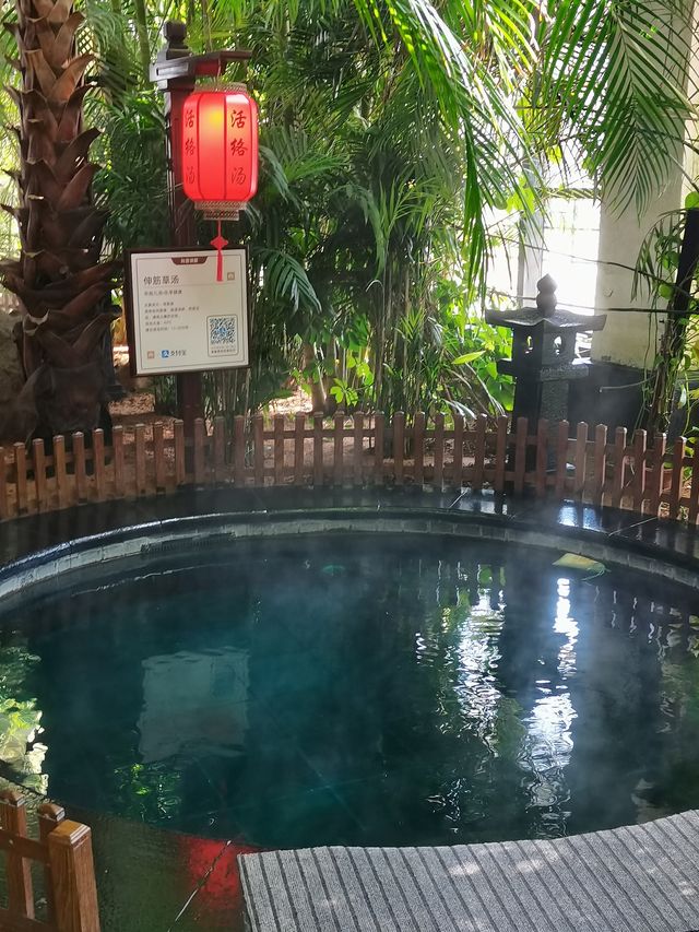 東方華地城 | 何以解憂 唯有溫泉！
