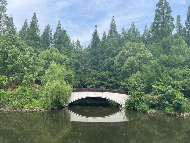 上海東平國家森林公園｜森林氧吧 快樂倍加