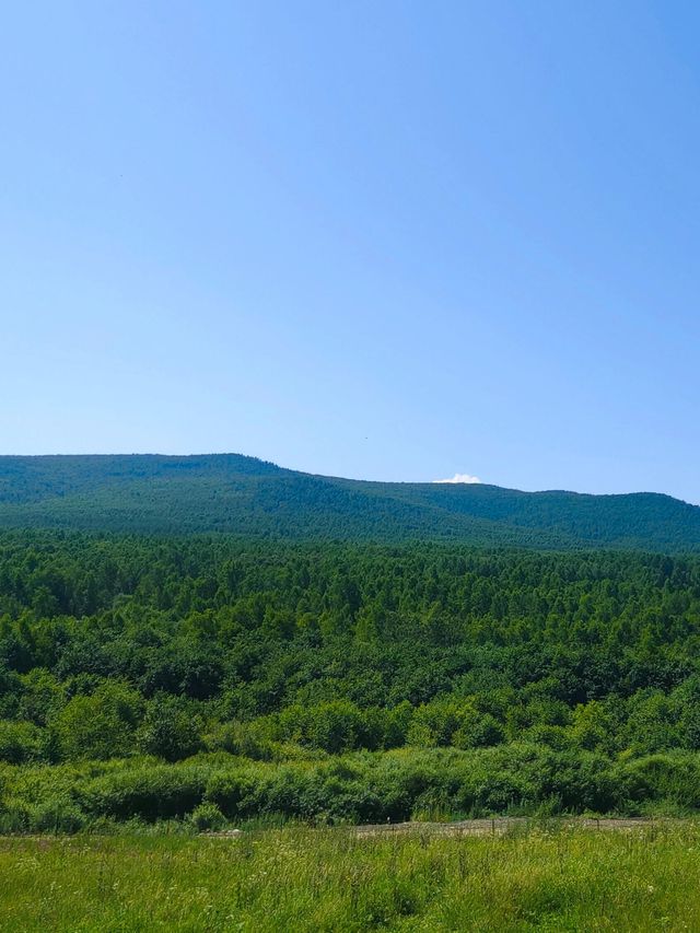 呼倫貝爾大草原+騎馬+親子旅行攻略來啦 呼倫貝爾大草原+騎馬+親子旅行攻略來啦