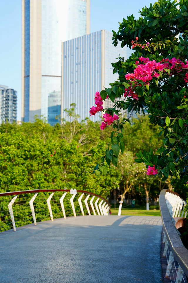 面向大海，春暖花開