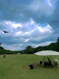 城市公園圖鑑｜去10000萬次都不夠深莞交界處的森林秘境