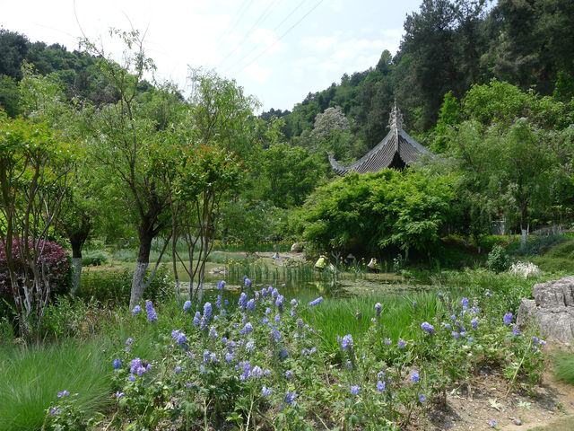 鮮花山谷——登高雲山·雲谷花境