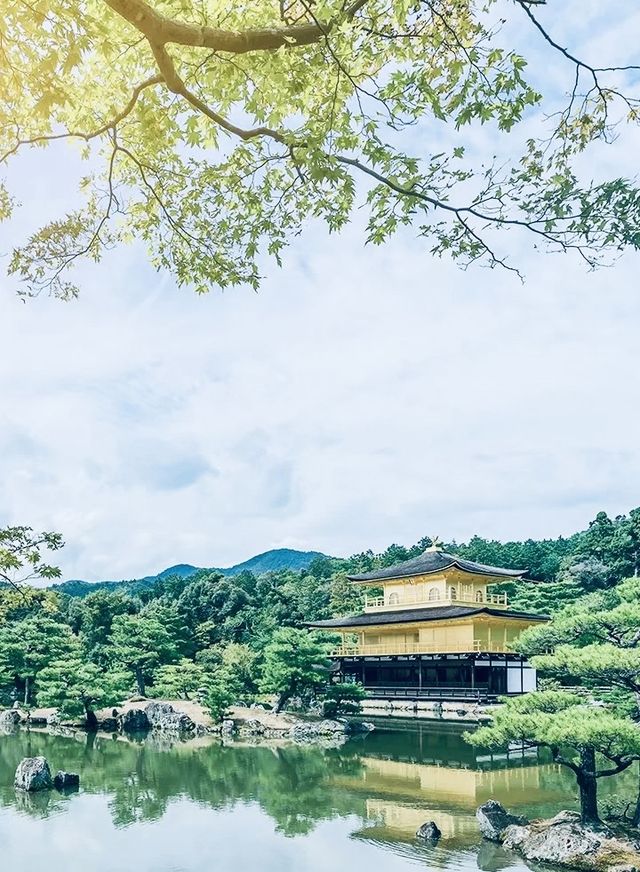 日本旅行！適合春季賞櫻的大阪城公園