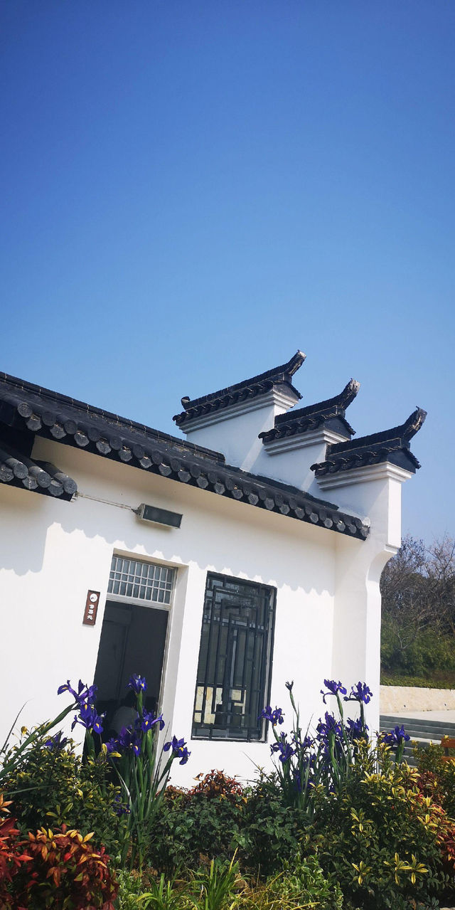 太湖植物園 八天免門票   震驚我的三下巴！！！