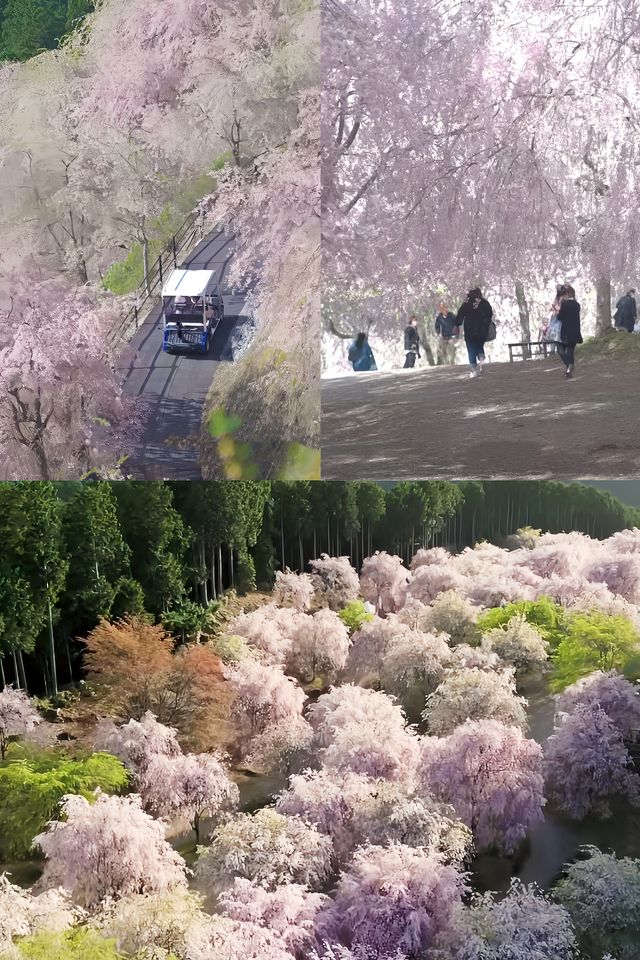 第一次日本旅遊認准關西關東就可以了