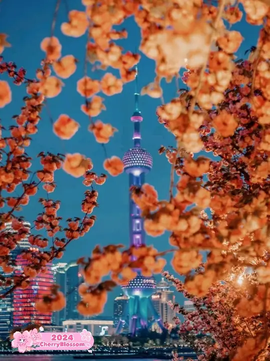 Absolutely Stunning Shanghai Bund 🇨🇳