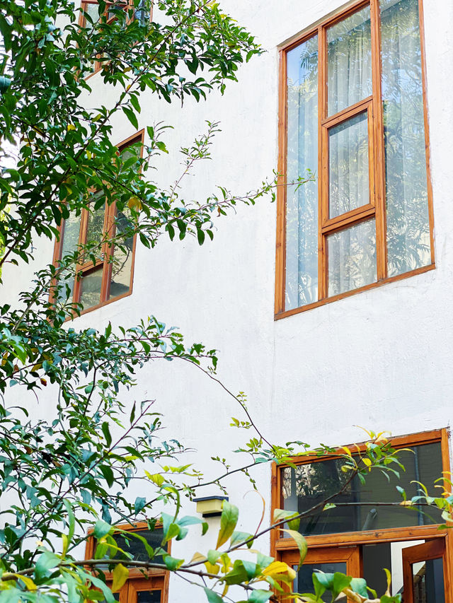 Astounding❗️The floor-to-ceiling windows of this Xi'an guesthouse are incredibly beautiful🪟✨