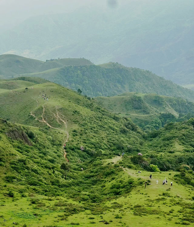 五一假期遊玩攻略來了哈雞籠頂高山草甸滿山杜鵑花盛開啦！