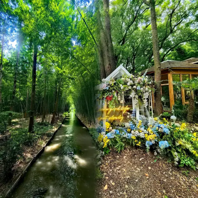 Tongli Wetland Park: A secluded summer green wonderland with free admission