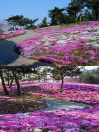 在大連，有一處宛如仙境的地方——英歌石植物園