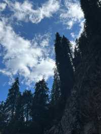 不需要去北方，湖南也能看到高山草甸！