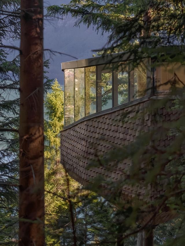Woodnest｜走進小木屋的童話世界