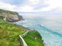 🇳🇿奧塔哥半島｜近距離接觸·企鵝海獅海豹海鳥一次get！