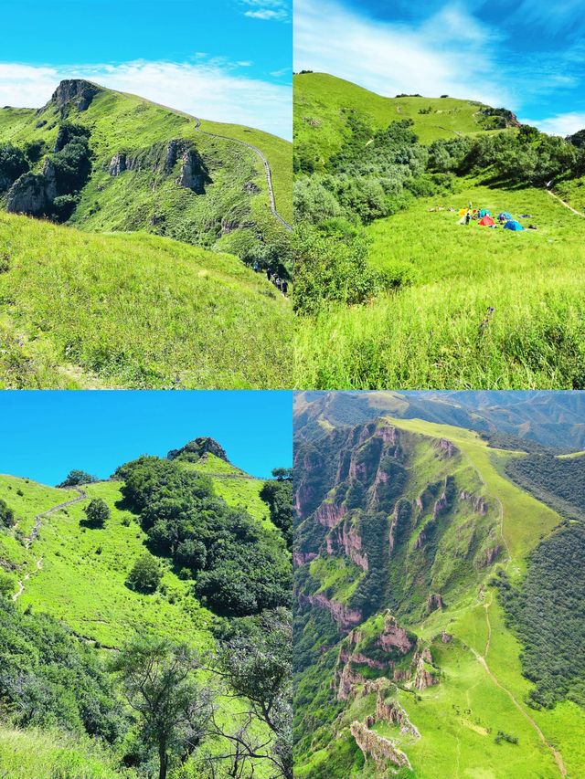 月底北靈山的高山草甸美醉了