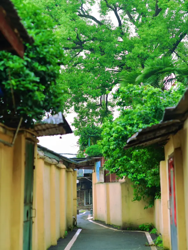 How do foreigners play in Hengyang??