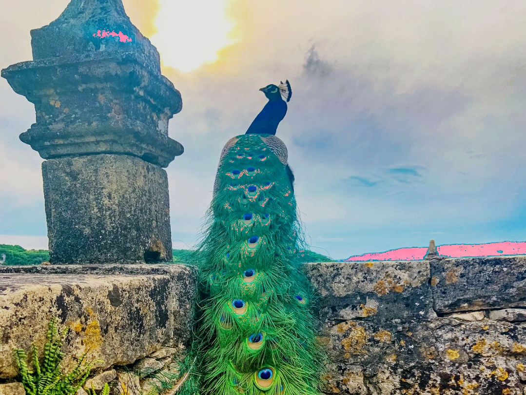A Planet Legacy of Marqueissac