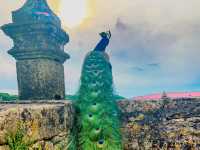 A Planet Legacy of Marqueissac