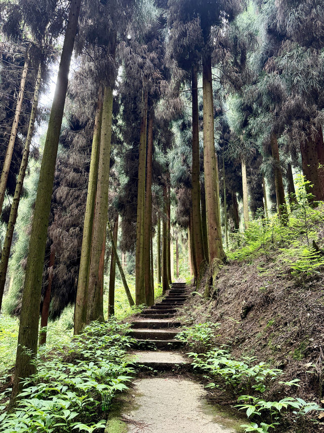 座落於什邡蓥華山｜避暑勝地歡迎你