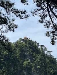 西安周邊遊∣尋夢大秦嶺•問道塔雲山