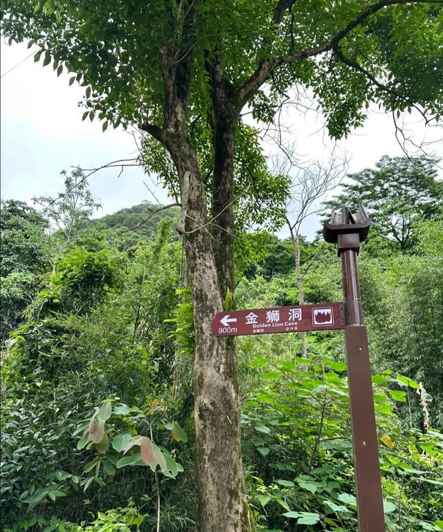 拜託了！我踩過的雷，大家別踩了！