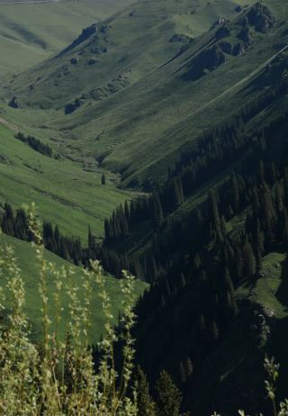 Xinjiang | I thought Qiongkushitai was already beautiful enough until I came to Kurdai
