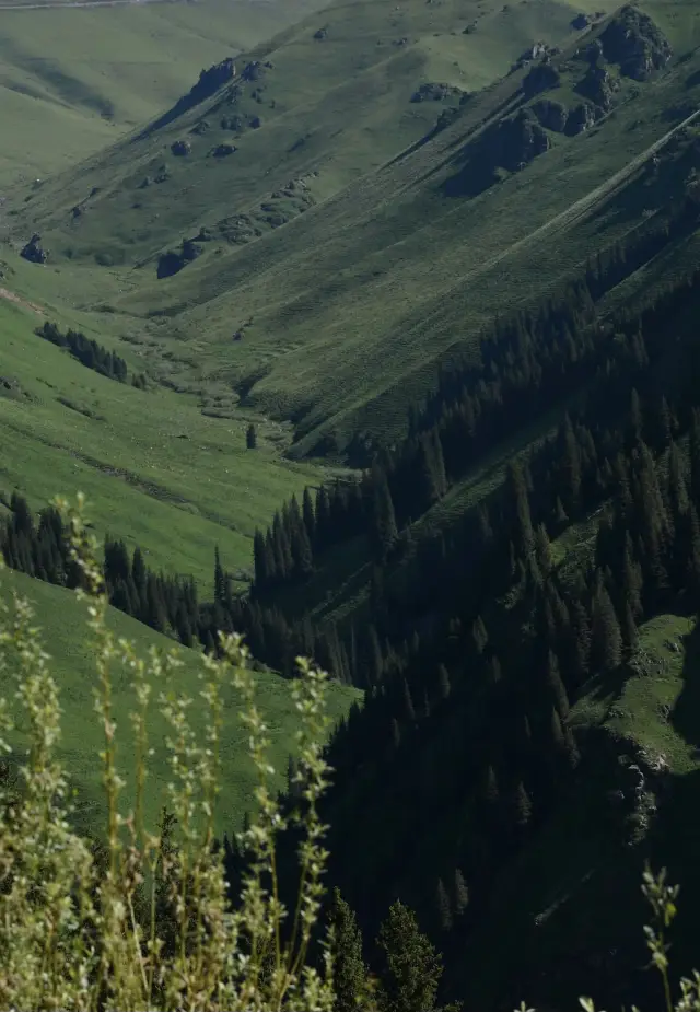 Xinjiang | I thought Qiongkushitai was already beautiful enough until I came to Kurdai