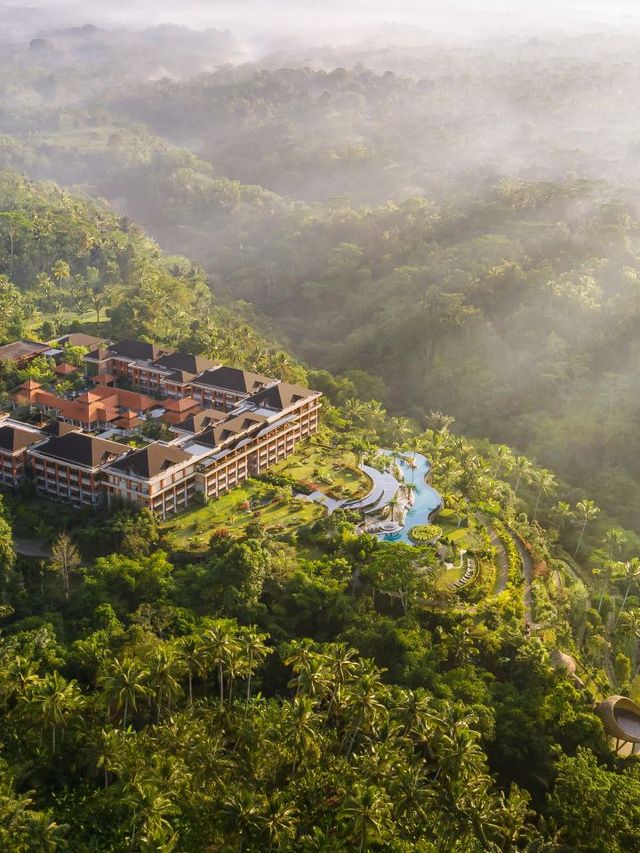 🌴 Bali Bliss: Unwind at Padma Resort Ubud 🏞️