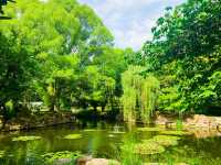 太倉‖弇山園遊覽小攻略