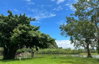 Oh my! There's a little Sanya hidden in Nanning? The stunning check-in spot of Huahua World!