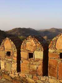 🌟 Rajasthan Retreats: Unwind at Fateh Safari Suites! 🐫✨