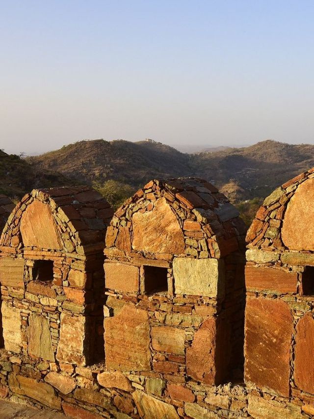 🌟 Rajasthan Retreats: Unwind at Fateh Safari Suites! 🐫✨
