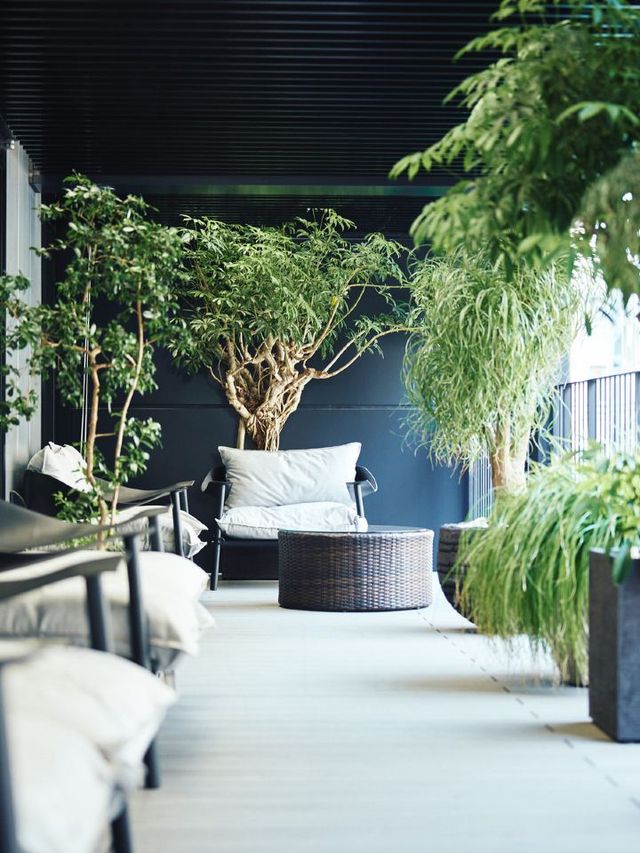🌟 Tokyo Treasures: Ueno's Chic Nohga Hotel 🌟