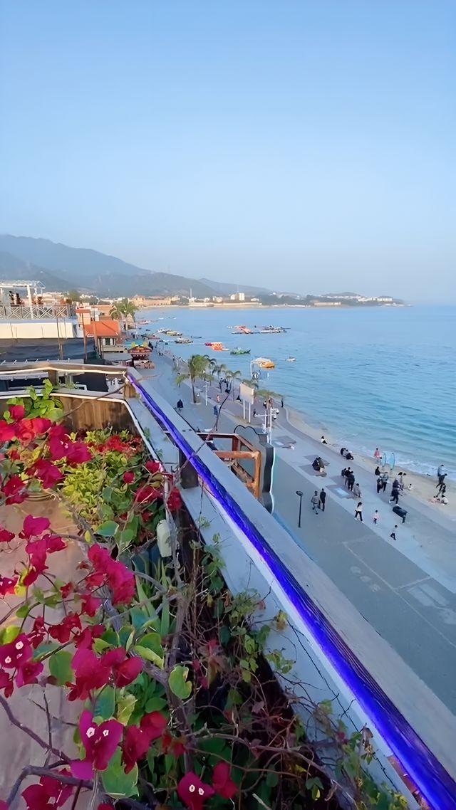 我鐘情於深圳的海,我要大膽的把它推薦給你們! 我鐘情於深圳的海,我要大膽的把它推薦給你們!