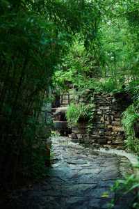 周末去哪玩|臨沂打卡地蘭陵壓油溝