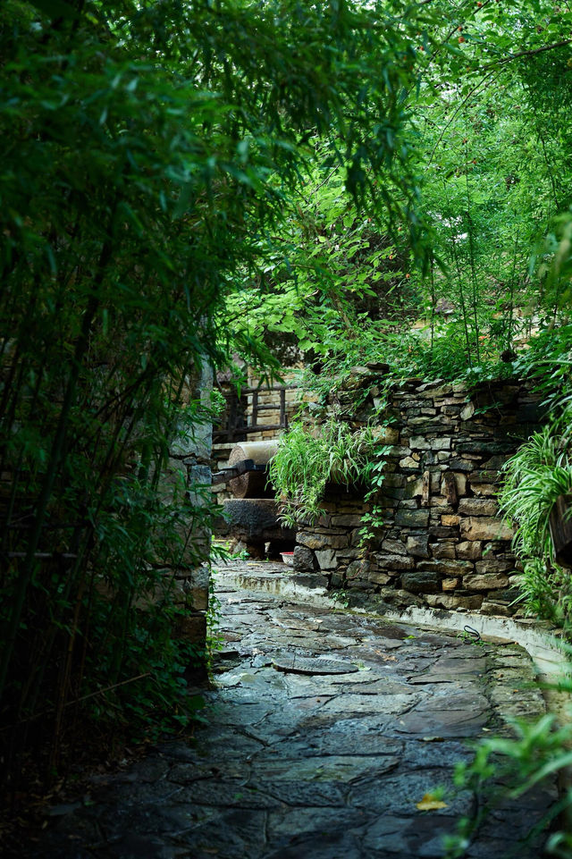 周末去哪玩|臨沂打卡地蘭陵壓油溝