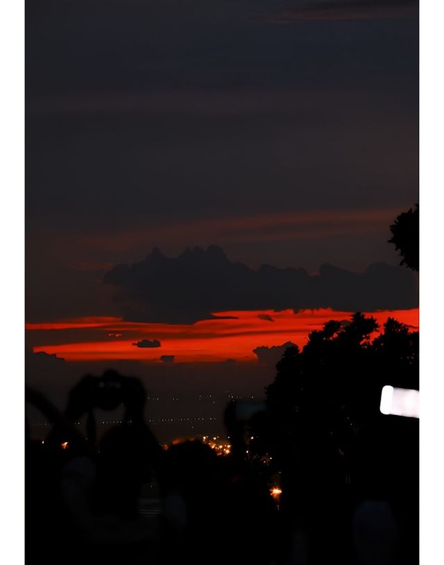是誰還沒去這片花海！