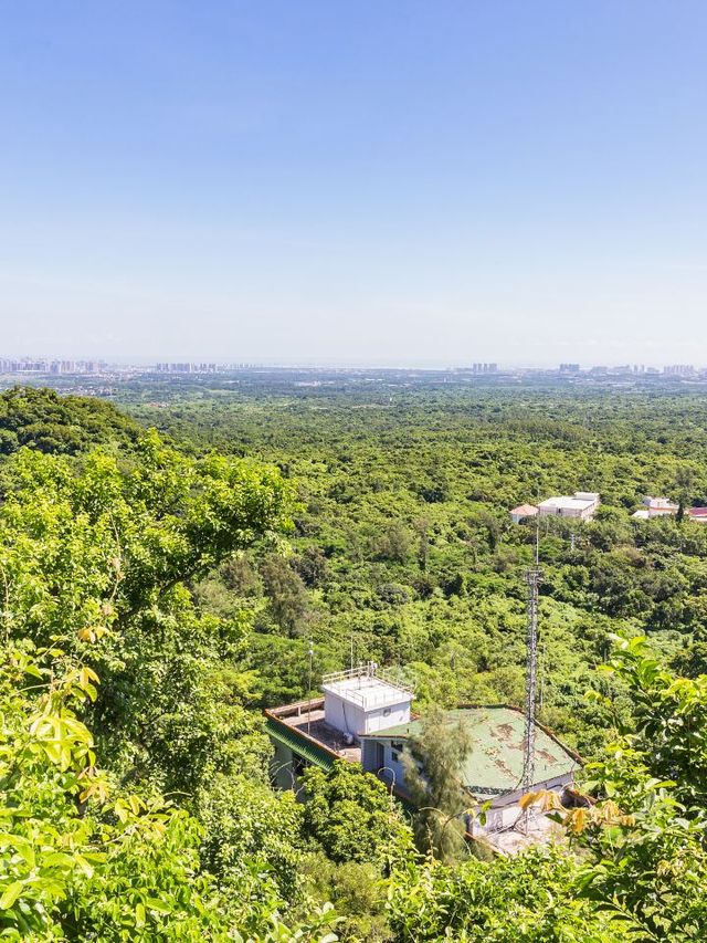 🌴 Hainan's Must-See Spots: Island Bliss & Rainforest Thrills 🏝️🍃