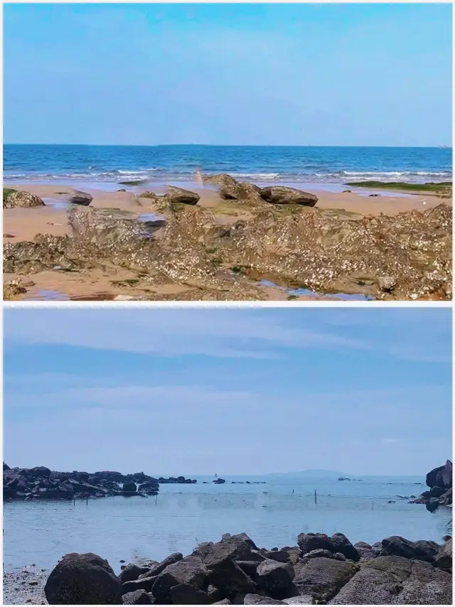 Going to Rizhao for sea catching is really amazing, every time you go you can have a bountiful harvest