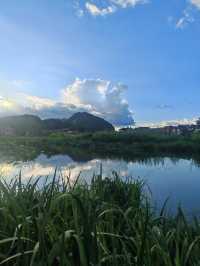 陽光明媚