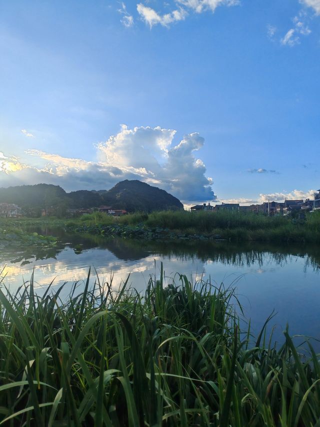 陽光明媚