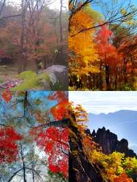 中秋吉林蛟河紅葉谷3天2夜遊攻略