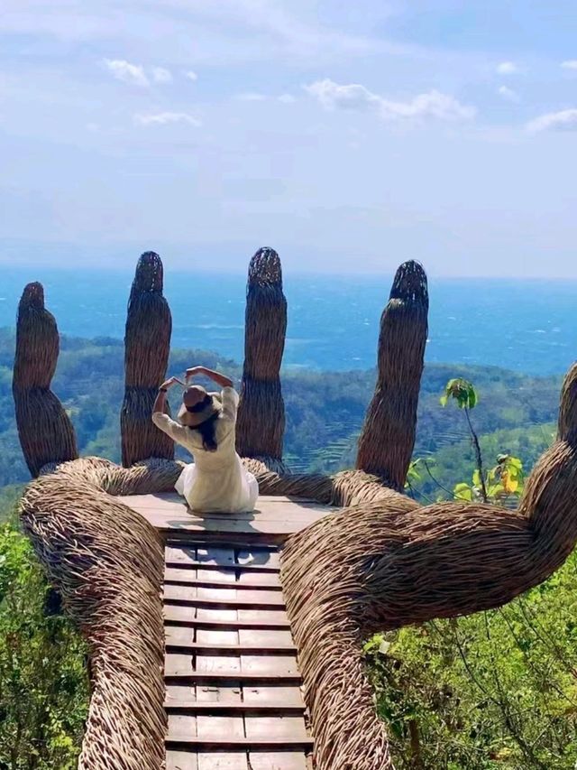 Pinus Pengger forest park in Indonesia❤️