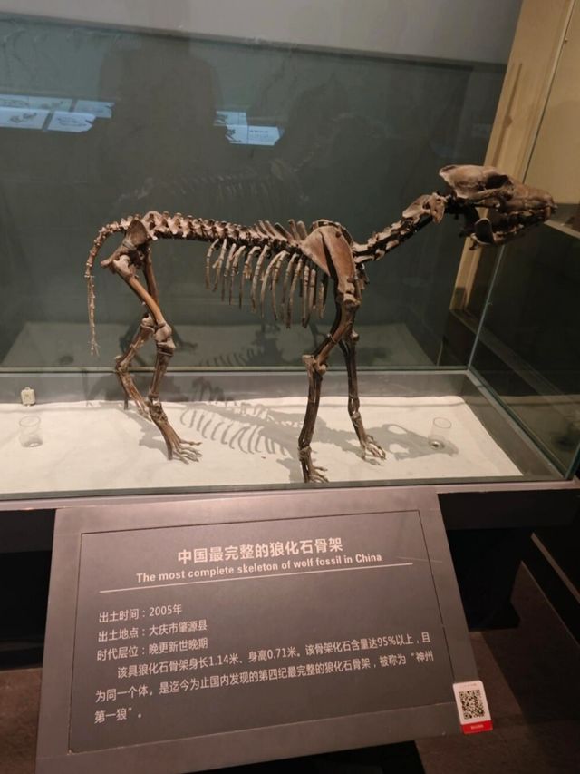 在大慶東北感受歷史的震撼~。