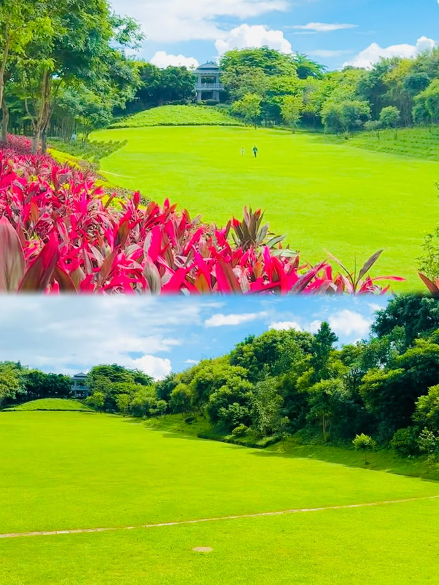 深圳可以野外奔跑嘅公園。